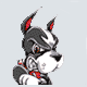 Terriers avatar