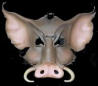 Boars avatar