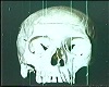 funkyzeit77s avatar