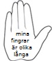 Antipats avatar