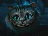Flaccids avatar