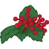 CranberryPumpss avatar