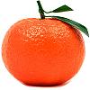 tangerinetrees avatar