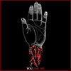 alberthos avatar