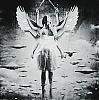 shaolinangels avatar