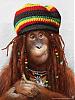 nffas avatar