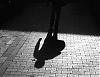 hiddenshadows avatar