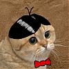 mr.Foremosts avatar