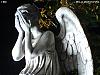 Weeping.Angels avatar