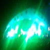 TheWiking81s avatar