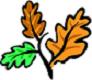 Eken92s avatar