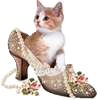 Kattskos avatar
