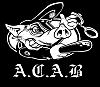 VBYs avatar