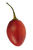 Tamarillos avatar