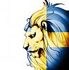stormtides avatar