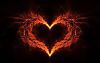 BestBabes avatar