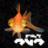Fisk242s avatar