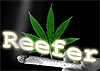 Reefers avatar