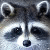 Mr_secrets avatar
