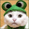 Hemligpojkes avatar