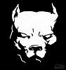 CrossArrows avatar