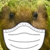 Kakap0s avatar
