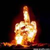 ShelfoOes avatar