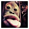 AvaZers avatar