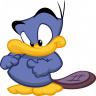 Qwackers avatar