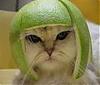 MrsPrimes avatar