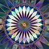dotknoxs avatar