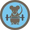 Gym-Rats avatar