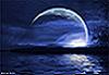 MidNightDreamers avatar