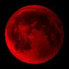 bloodbenders avatar