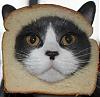 sandwichcats avatar