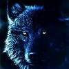 The_SilverWolfs avatar