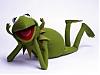 GrodanKermit1s avatar