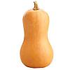 Butternutsquashs avatar