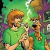 farsaTacklarns avatar