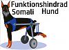 Lytt.Somali.Hunds avatar