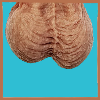 DrBallss avatar