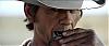 Harmonicas avatar