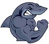 muskelknippets avatar