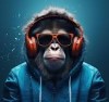 zollet53s avatar