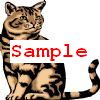 KattenMyss avatar
