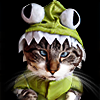 Diabolicas avatar