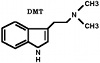 dmt.injections avatar