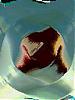 TripDs avatar