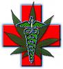seaofgreens avatar