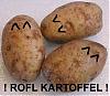 rofl kartoffels avatar
